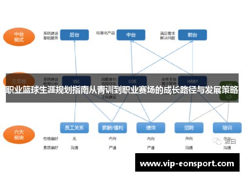 职业篮球生涯规划指南从青训到职业赛场的成长路径与发展策略 职业篮球生涯规划指南从青训到职业赛场的成长路径与发展策略