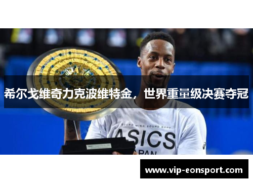 希尔戈维奇力克波维特金，世界重量级决赛夺冠