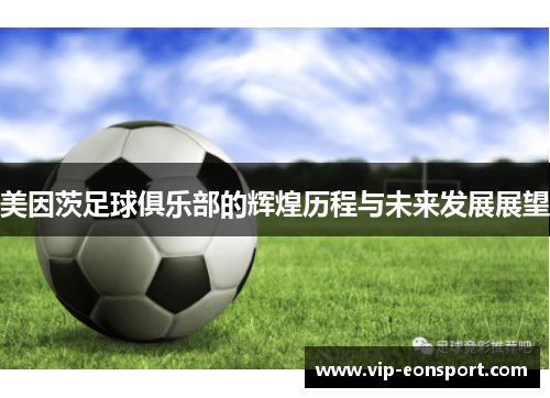 美因茨足球俱乐部的辉煌历程与未来发展展望