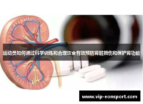 运动员如何通过科学训练和合理饮食有效预防肾脏损伤和保护肾功能 运动员如何通过科学训练和合理饮食有效预防肾脏损伤和保护肾功能