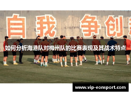 如何分析海港队对梅州队的比赛表现及其战术特点
