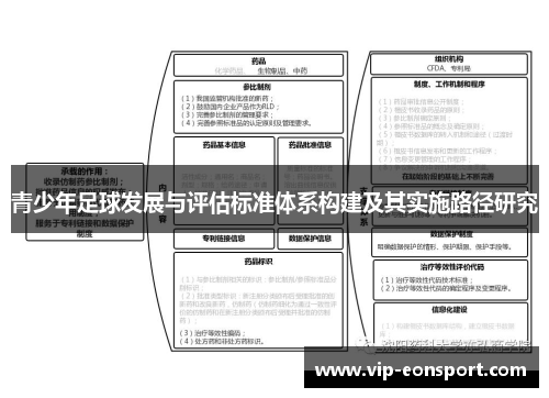 青少年足球发展与评估标准体系构建及其实施路径研究