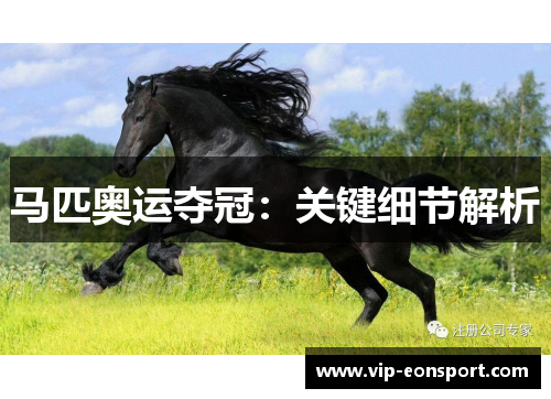 马匹奥运夺冠：关键细节解析