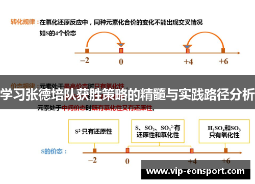 学习张德培队获胜策略的精髓与实践路径分析