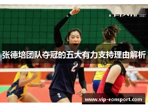 张德培团队夺冠的五大有力支持理由解析